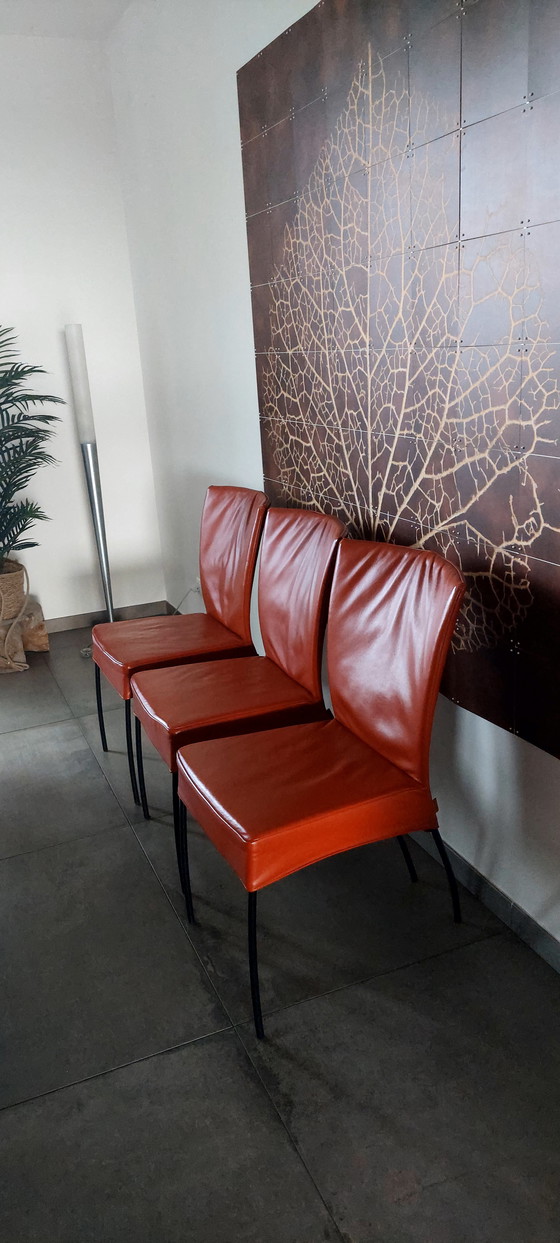 Image 1 of 6 x Montis Spica eetkamerdtoelen