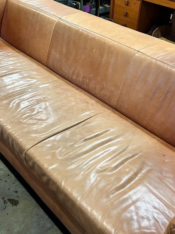 Image 1 of Sofá XL, Montis Malou, Tapizado en Cuero, Coñac