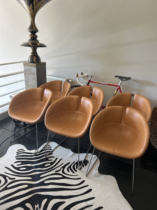 Ensemble complet de 6 chaises Moroso Fjord au design haut de gamme – eetkamerstoelen, Metal, Leather