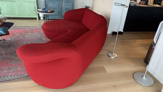 Image 1 of Leolux Gynko Rotes Sofa