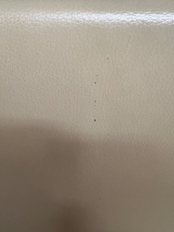 Image 1 of Molteni &amp; C 2 Sedie da seduta