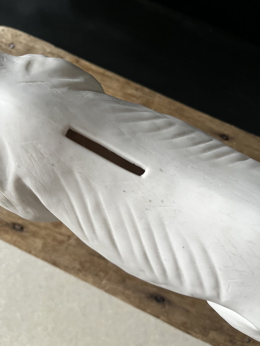 &K Amsterdam rhinoceros and fish