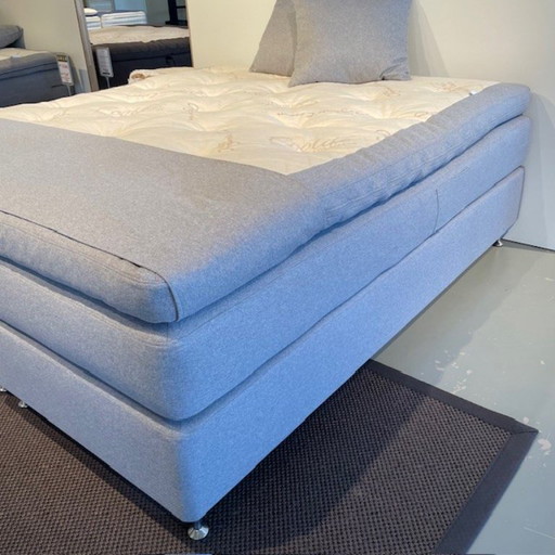 Ecolife - Agave Continental