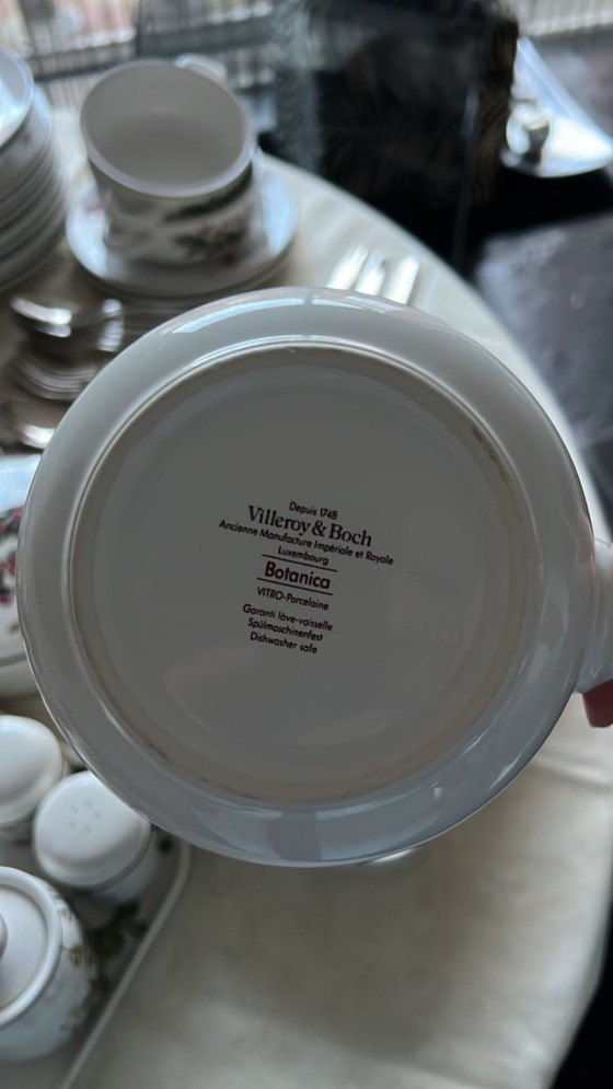 Image 1 of Villeroy&Boch servies ( 12 persoons ) + Sola Elite 9delig bestek