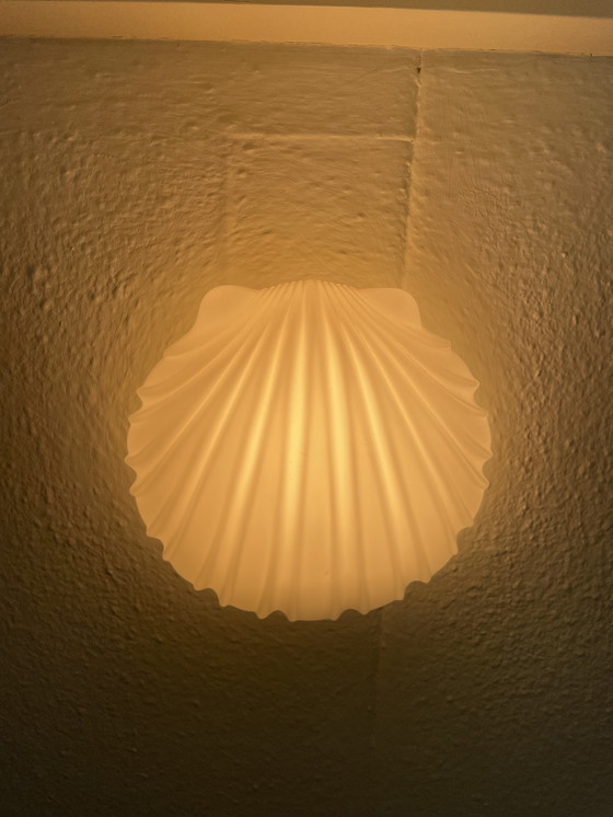 Image 1 of Glashütte Limburg Shell Wall Lights 2x