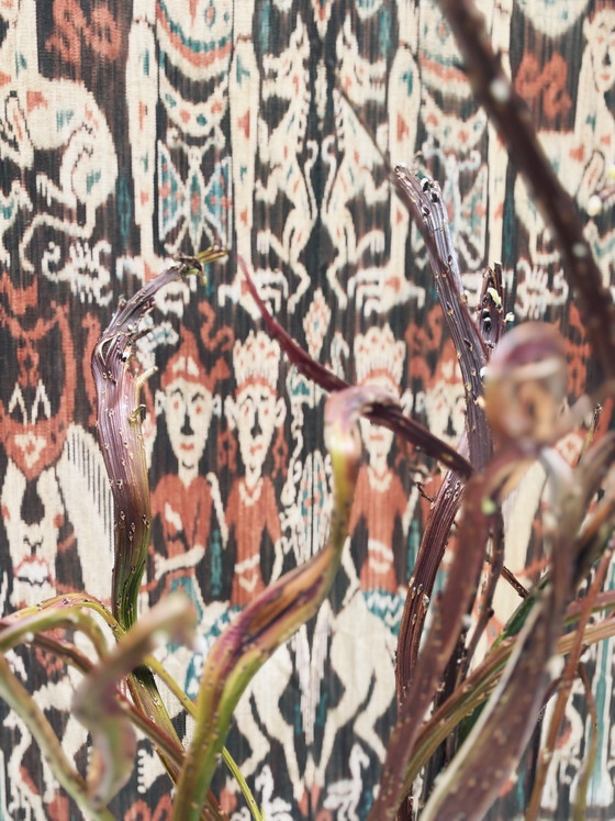 Image 1 of Ikat