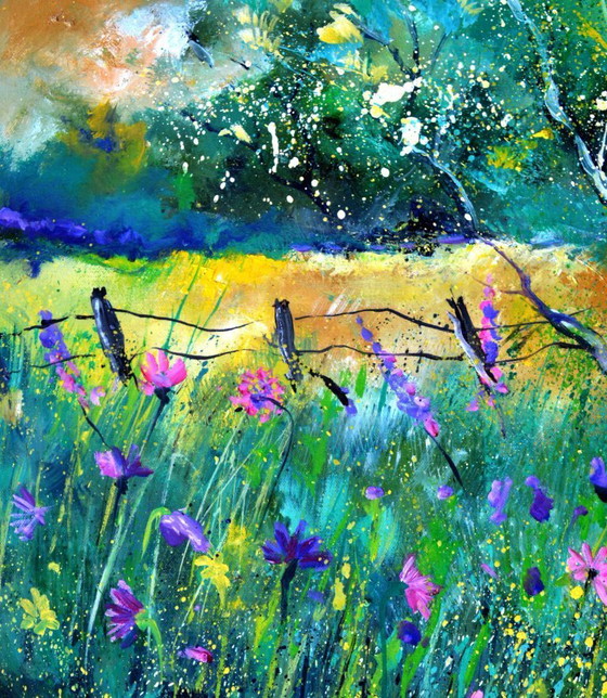 Image 1 of Wild summer flowers