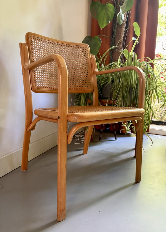 B-16 Stoel uit de jaren 70, ontworpen door Mirjana Maračić – Mundus, Fauteuils, Wood, Rattan (photo 11 of 11)