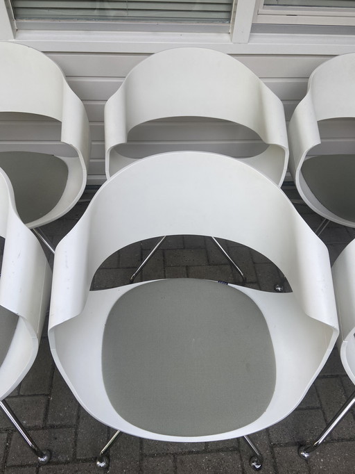 Sei sedie ambrace Vepa