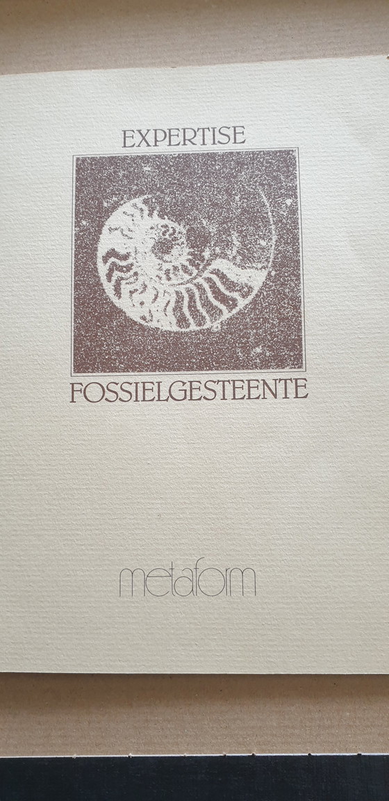 Image 1 of Unique fossil table - diameter 100 cm - certificate of authenticity