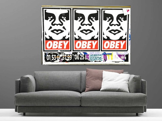 Printed photo / limited series / Obey / Paris Poster / Street art, Art Prints, Plexiglass, Multi Color (photo 3 of 5)