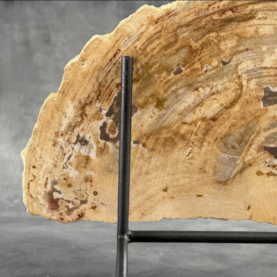 Image 1 of Madera fosilizada de Sooka, soporte hecho a medida (nuevo)
