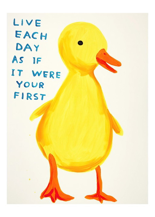 Vivi ogni giorno come se fosse il primo - David Shrigley - Poster 50 × 70 cm