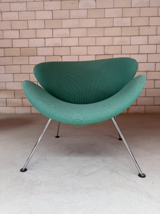 Image 1 of Fetta d'arancia Artifort (verde)