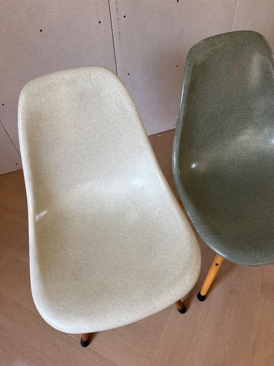 Sedia Eames in fibra di vetro Modernica Los Angeles Sedie da pranzo – Vitra, Wood, Plastic (photo 4 of 8)