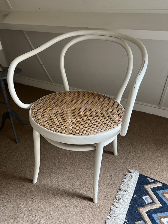 Image 1 of 2 Witte Stoelen Thonet 209 van Ligna