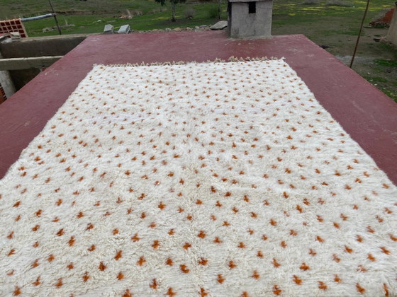 Tapis Beni Ouarain Authentique 3.3x2.3M Laine Écrue Motifs Terracotta – Coton, Scandinavian (photo 13 of 14)