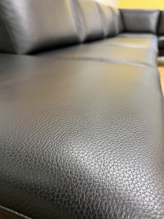 Image 1 of Sillón exclusivo de diseño Demuynck en piel: una obra maestra belga hecha a mano.