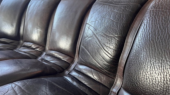 Image 1 of Sofá modular de Sede DS-600 “Snake” / “Tatzelwurm”, cuero marrón oscuro, 12 elementos,