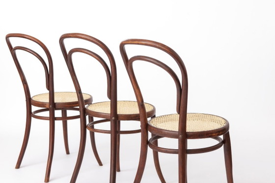Ensemble de 6 chaises de salle à manger autrichiennes vintage en bois courbé, assises en hêtre foncé et (photo 5 of 11)