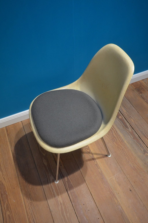 Silla de fibra de vidrio Dsx Charles &amp; Ray Eames Herman Miller, década de 1950
