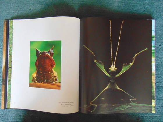 Image 1 of Frans Lanting - Eye in eye photo book