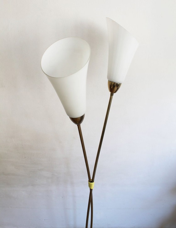 Image 1 of Organic Mid-Century Modern Floor Lamp in Brass and Milk Glass, Czechoslovakia