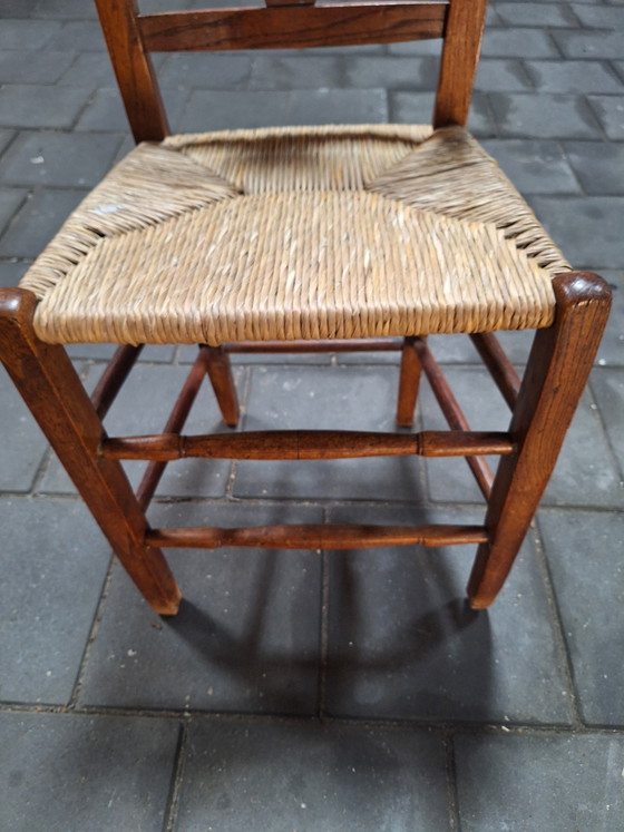 Image 1 of Ulmenholzstuhl aus dem 19. Jahrhundert