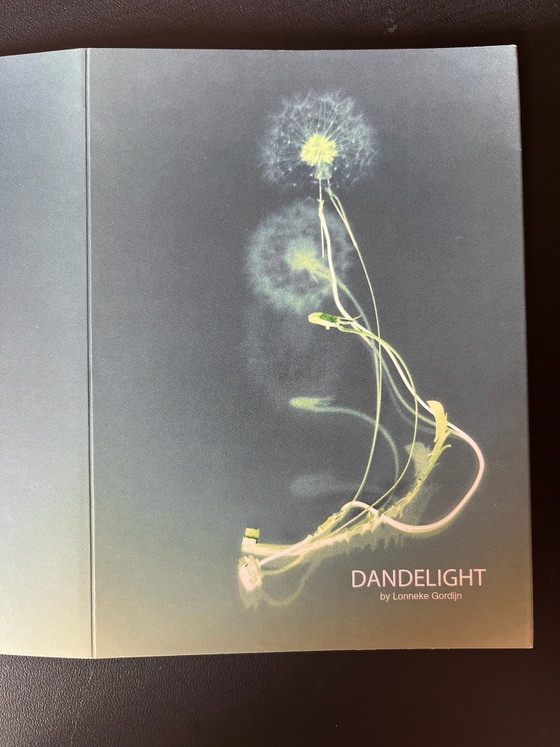 Dandelight by Lonneke Gordijn, Studio Drift, Kandelaars en kaarsen, Brons, Glas, Bruin (foto 8 van 9)