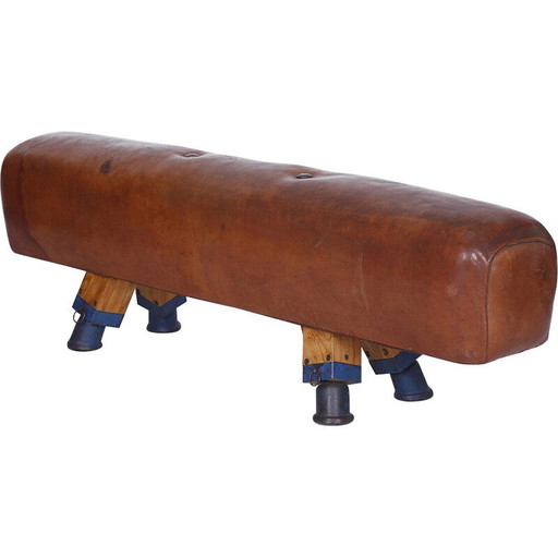 Banc de gymnastique vintage en cuir pour cheval d'arçon, Tchécoslovaquie, années 1930