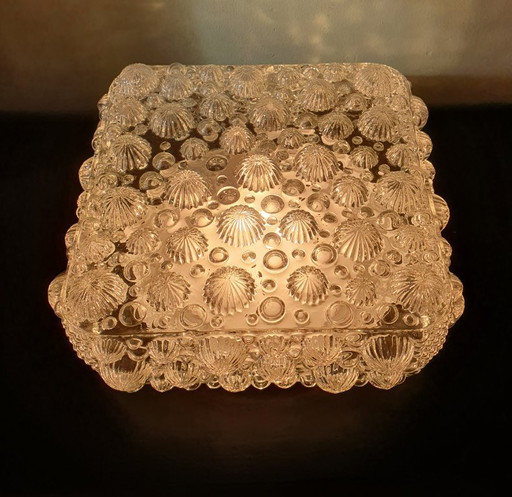 Grande (30cm) Plafonnier Vintage Glashütte Limburg – Verre Fossile / Coquillage – Modèle 32615