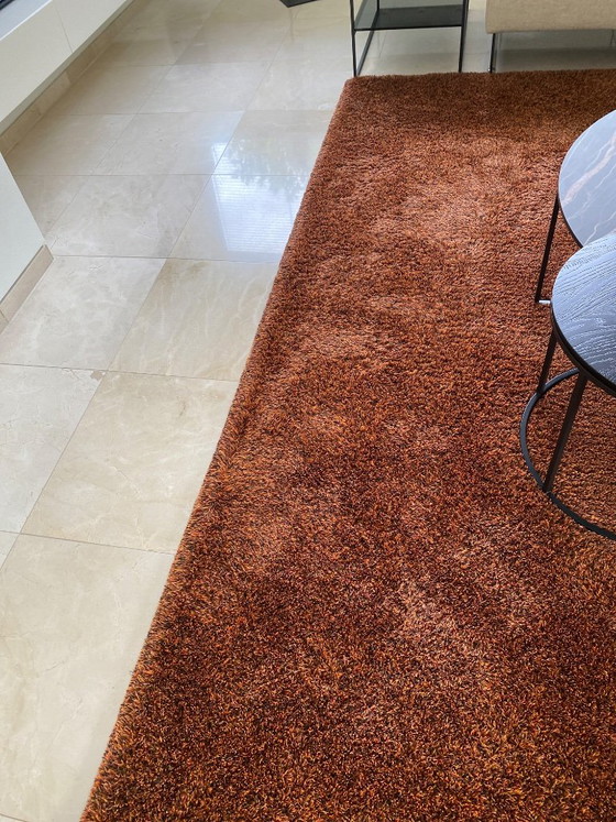 Alfombra – Millenerpoort, Wool, Silk (photo 5 of 10)