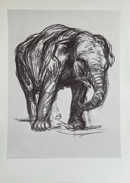Franz Marc (1880-1916), Elefant, 1907, imprimé en Italie