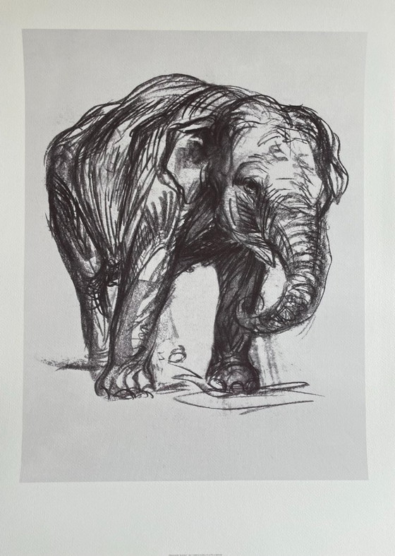 Image 1 of Franz Marc (1880-1916), Elefant, 1907, Printed in Italy 