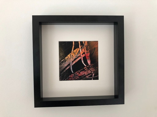 Rob Jacobs - underwater world 1