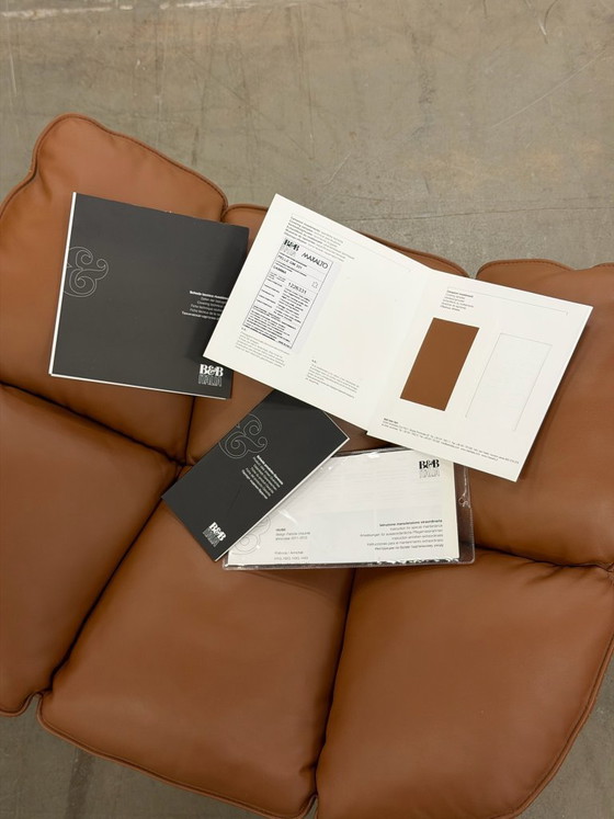 B&B Italia Husk Poltrona – Poltrone, Pelle (photo 16 of 17)