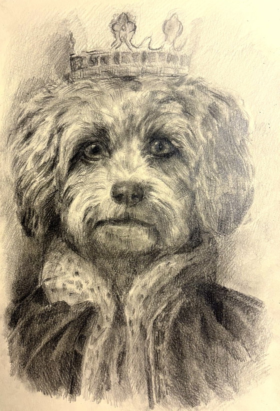 Royal Dog Charcoal Drawing – Paintings & Drawings, Paper (photo 3 of 5)