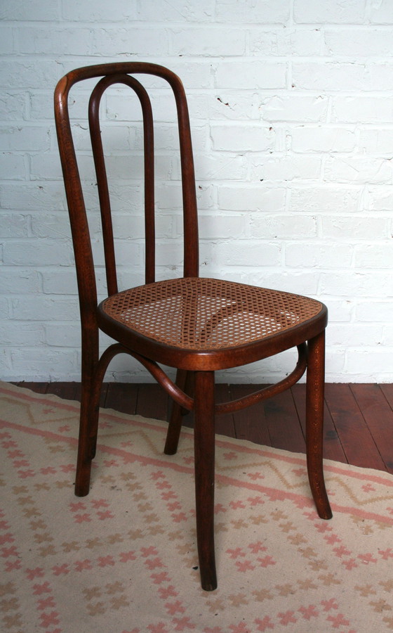 Image 1 of Alter restaurierter Thonet Typ N°391