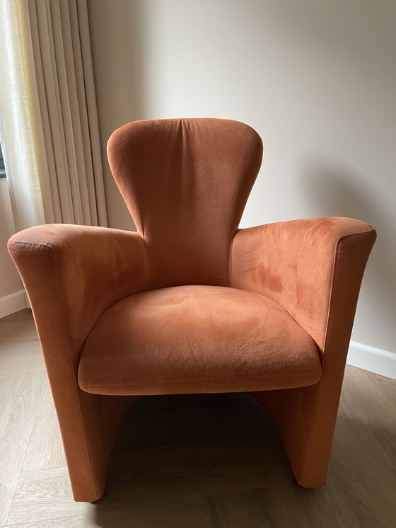 Image 1 of In vendita: un set di due poltrone Leolux Emphora in ottime condizioni.