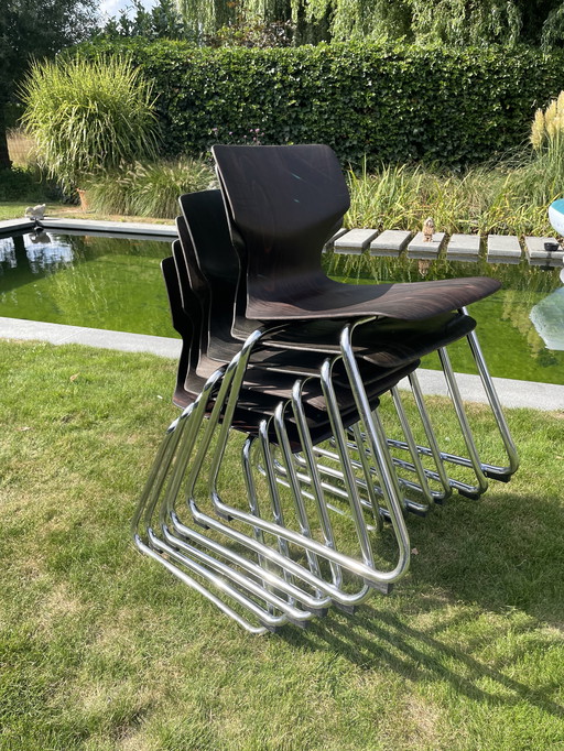 Pagholz flötotto stapelstoel vintage 6 stuks