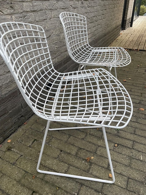 Originele Harry Bertoia Vintage Draadstoel – Vintage Wire Side Chair Van Knoll – 6 Stuks – Tuinstoelen, rvs (photo 4 of 5)