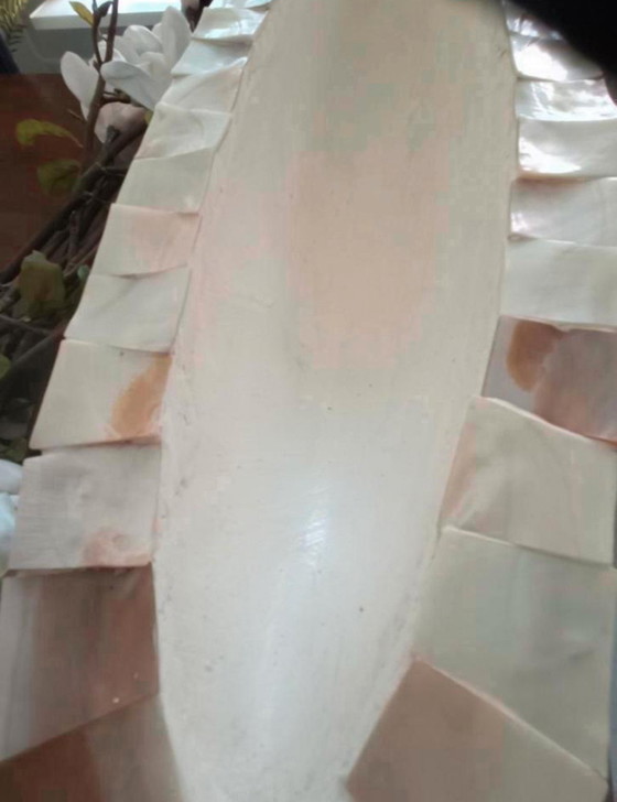 Image 1 of 1 jarrón de concha ovalada y 2 jarrones de concha de nácar con cuencos rotos