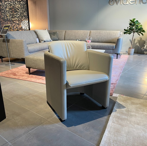 Évidence Saga armchair