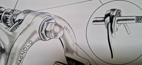 Image 1 of Manifesto Campagnolo d'epoca