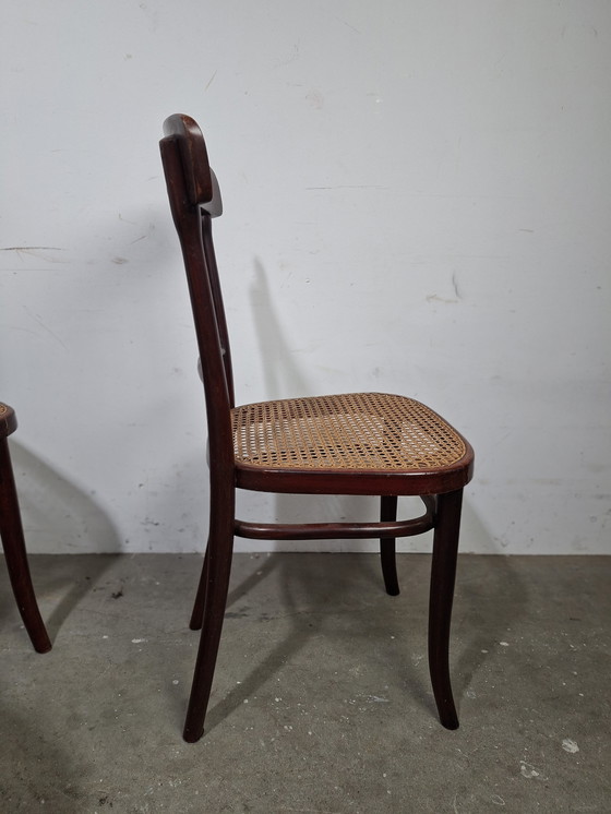 Image 1 of Set di 6 sedie vintage di design Thonet