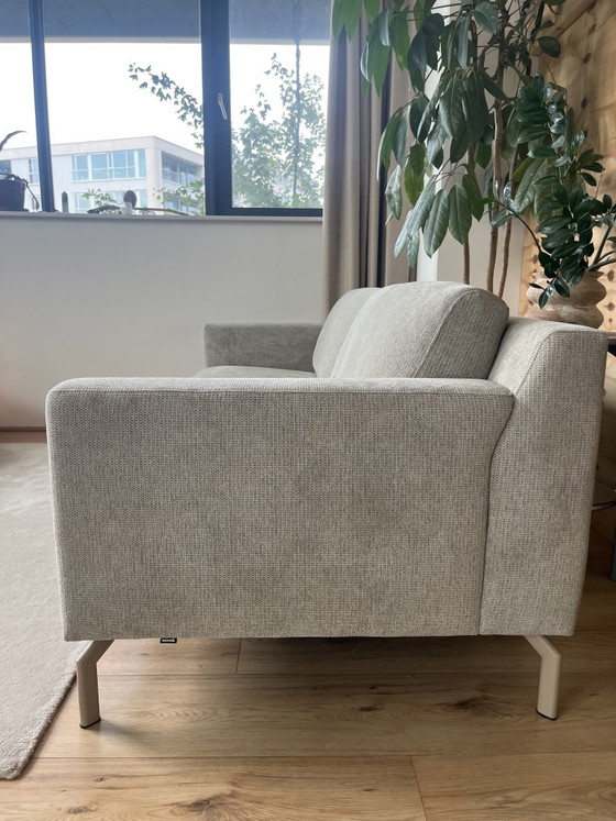 Montel 3.5 Sitzer Sofa (2 Jahre Alt) – 3-5 Sitzer Sofas, Textile (photo 3 of 5)