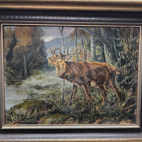 Image 1 of Tableau ancien représentant un cerf rouge dans la forêt, première moitié du XXe siècle