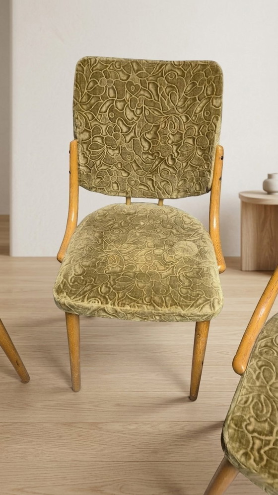 Image 1 of Bentwood Dining Chairs set of 4, Retro Beech Wood & Olive Velour Chair, TON 1960s–1970s, Czechoslovakia