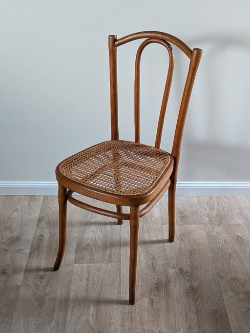 Sedia curvata Thonet 56 originale – Classico del design vintage