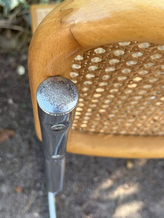 Image 1 of sedia in canna